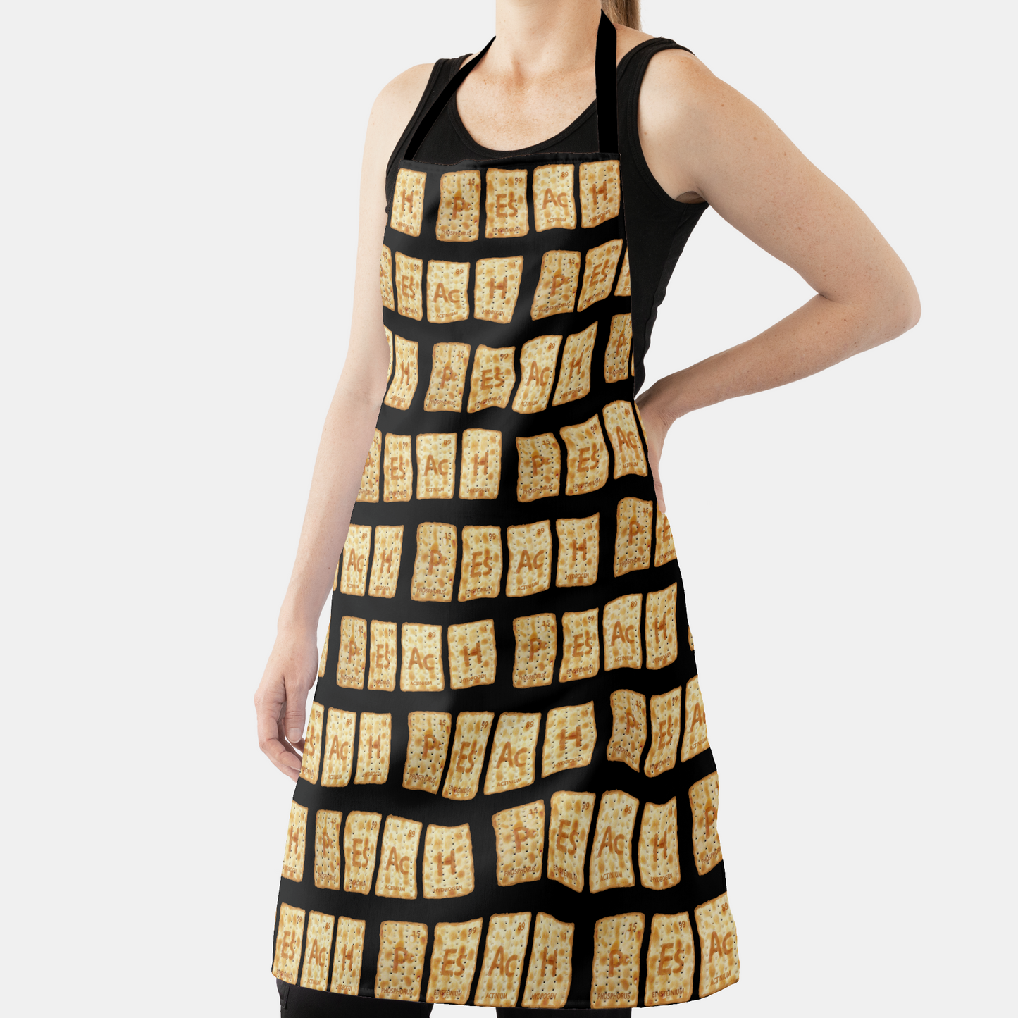 Primary Elements of PEsAcH Apron