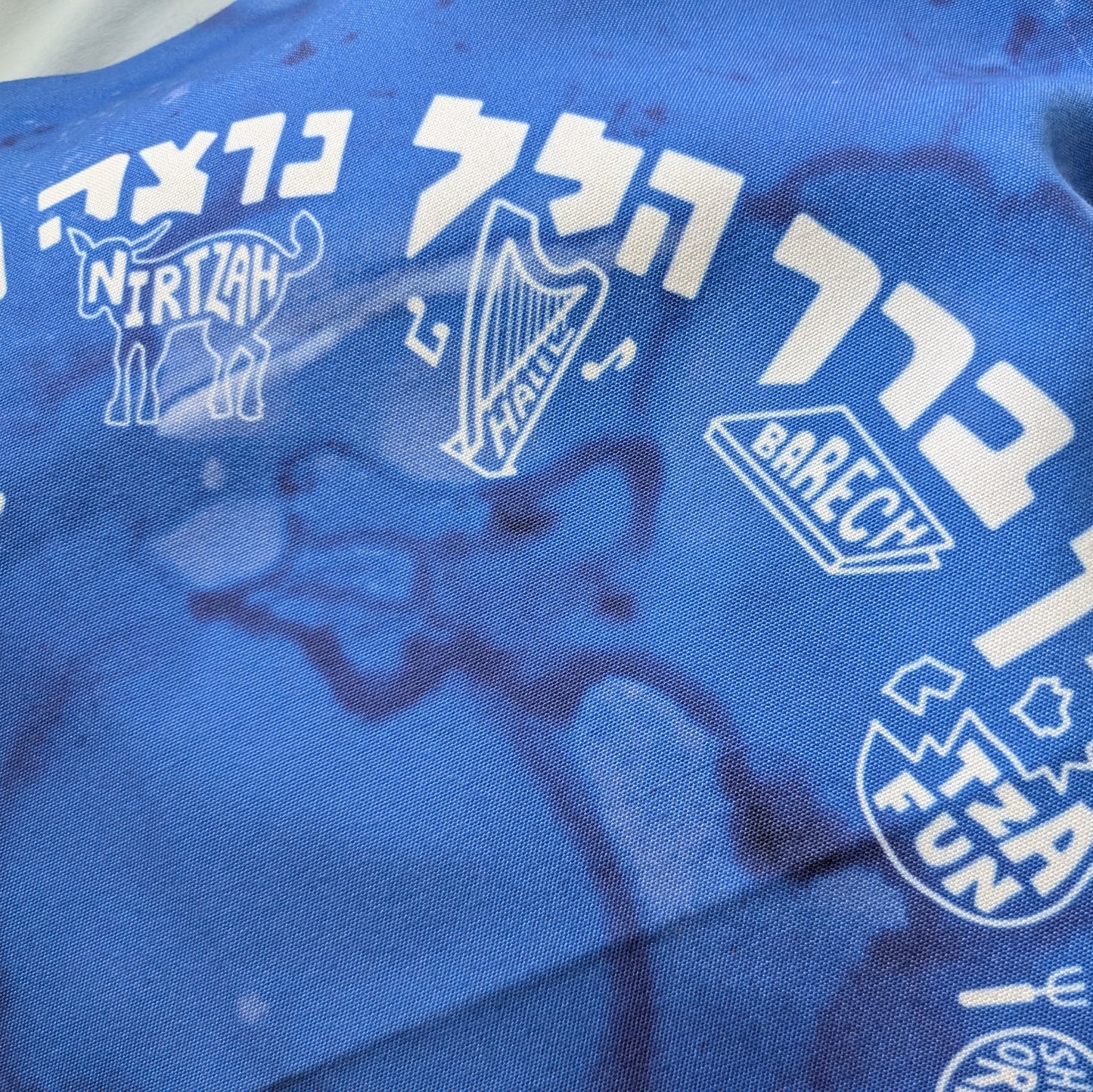 Order of the Seder matzah cover