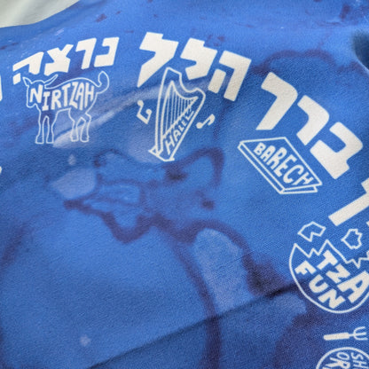 Order of the Seder matzah cover